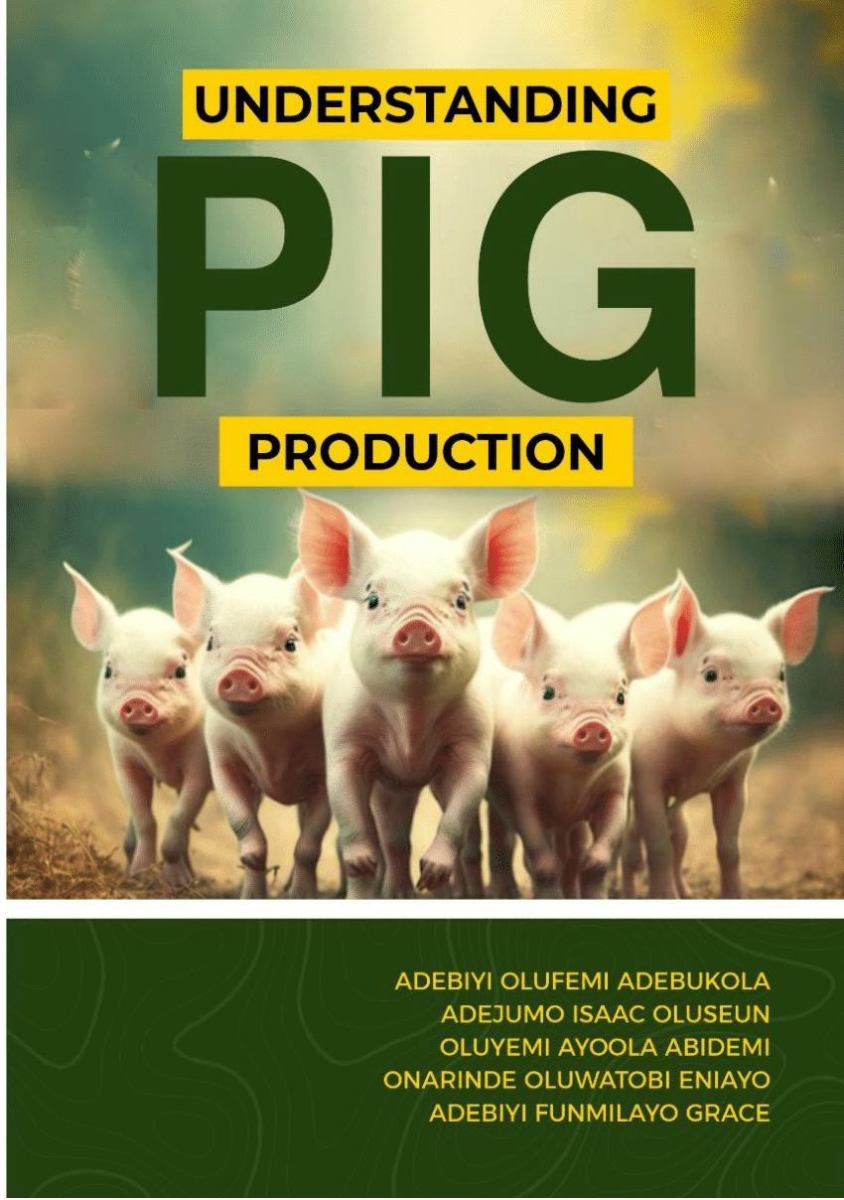 Commercial Pig Farming Success