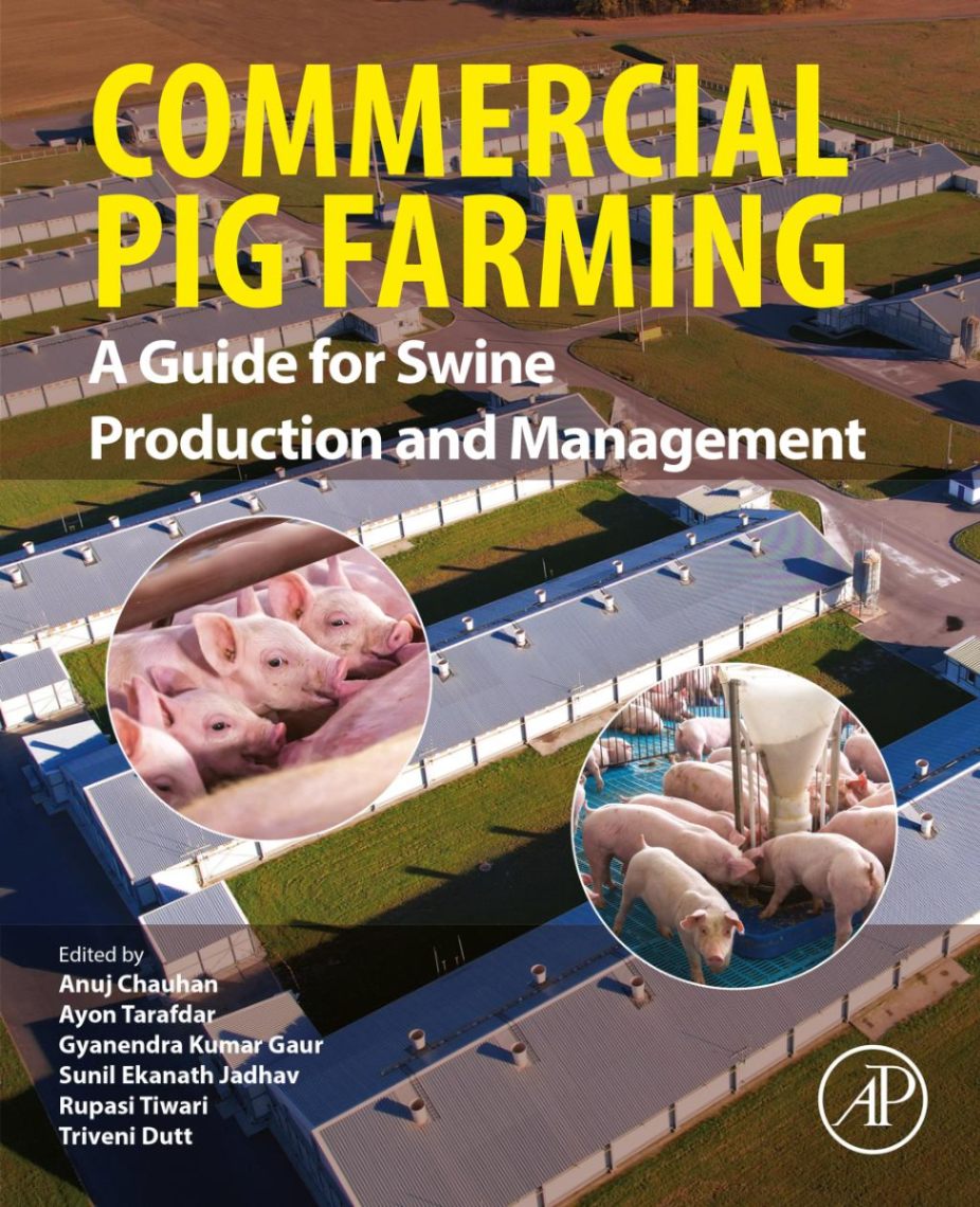 Pig Farming for Beginners