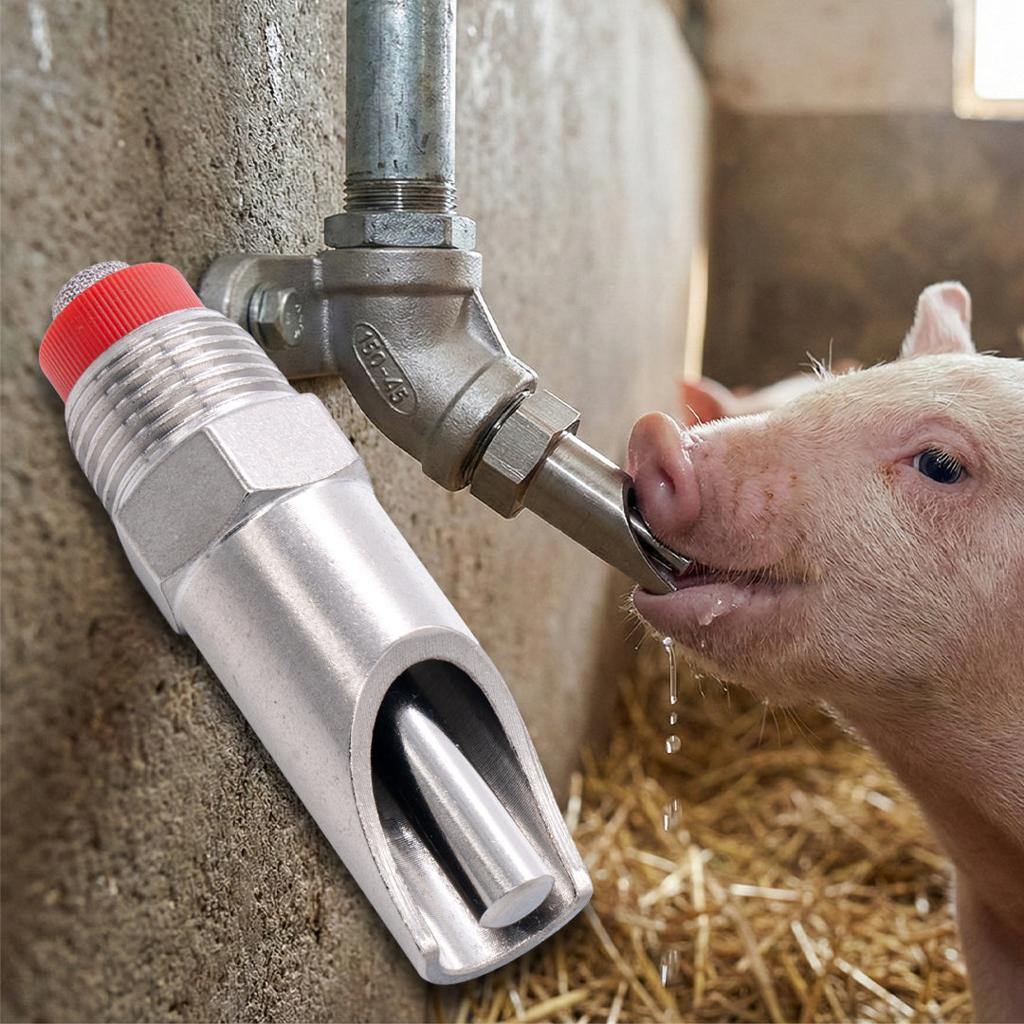 Essential Pig Farming Equipment Kit